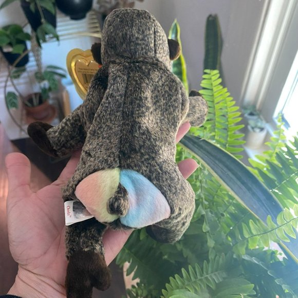 Ty Beanie Baby -  Cheeks the Mandrill / Baboon - Style Number #04250 - Picture 5 of 8